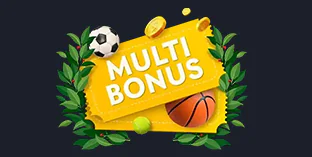 Power Play 100% Bonus auf Akkumulator